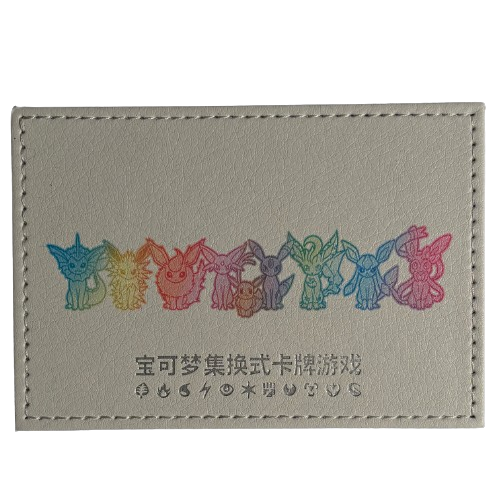 Box evolitions CH en cuir